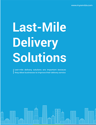 Last Mile Delivery Solutions 3